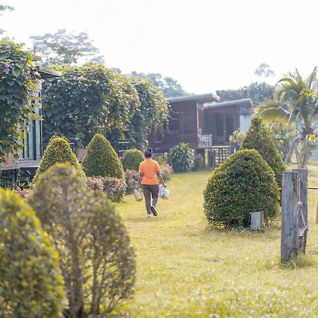 Chiewlan Camp And Resort Ban Pha Saeng Lang Ngoại thất bức ảnh