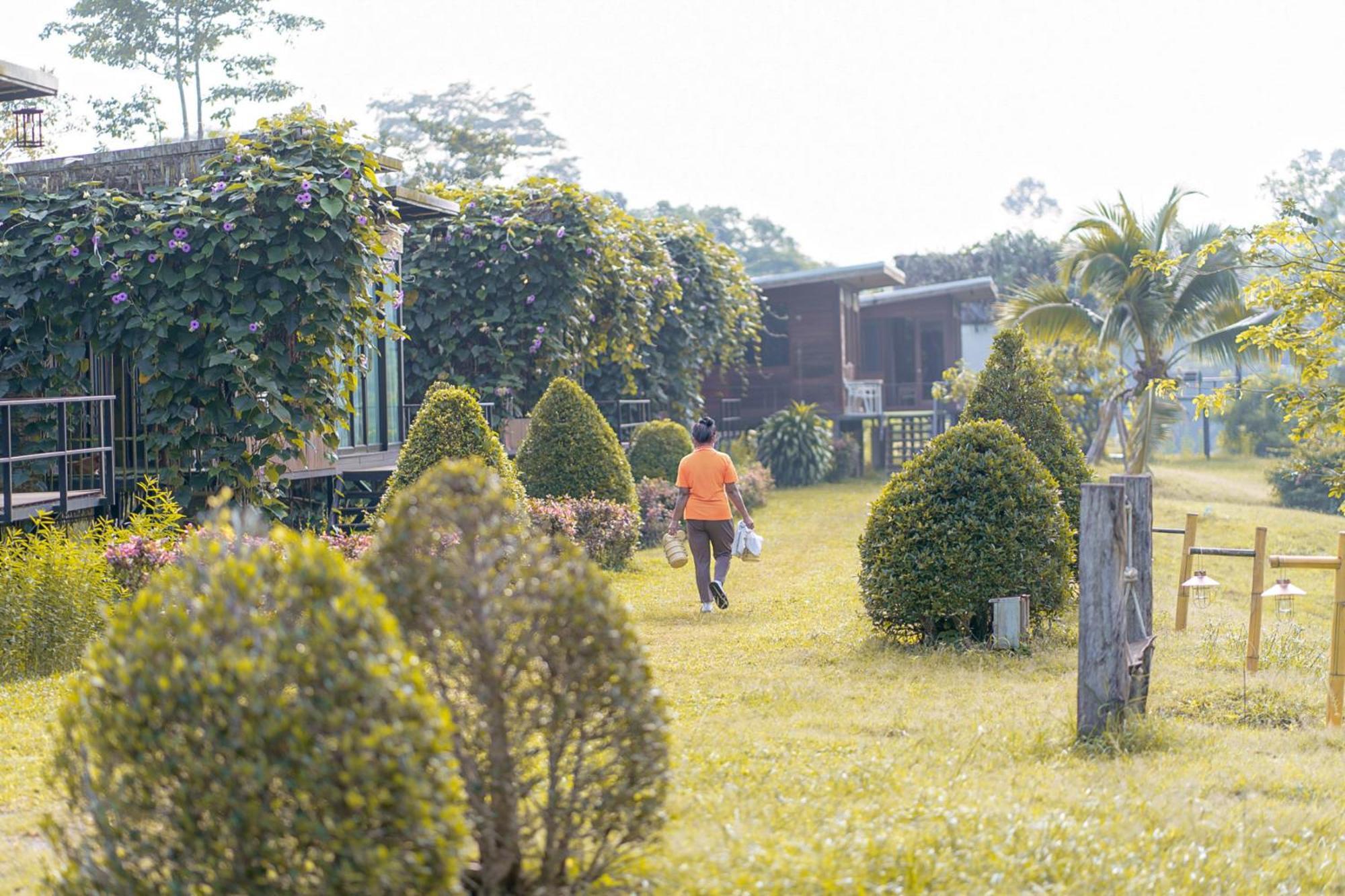 Chiewlan Camp And Resort Ban Pha Saeng Lang Ngoại thất bức ảnh